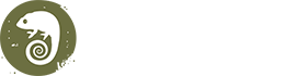 Camo Logo