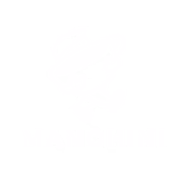 Manchini Logo
